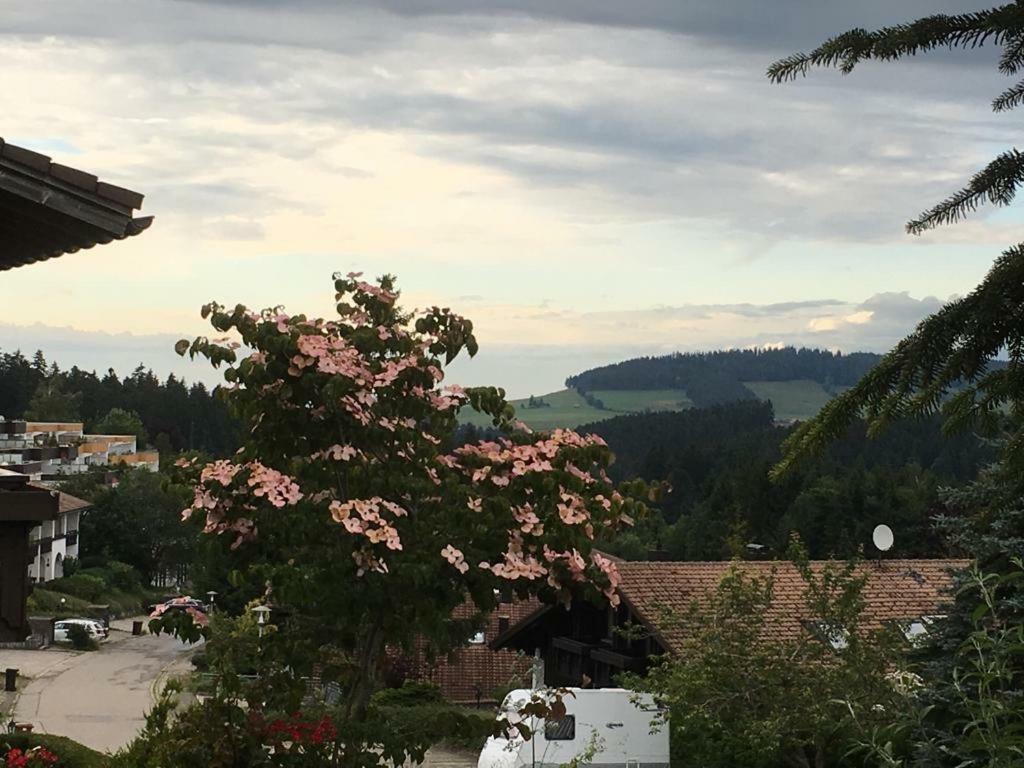 Allgau Landhotel Oberreute Extérieur photo